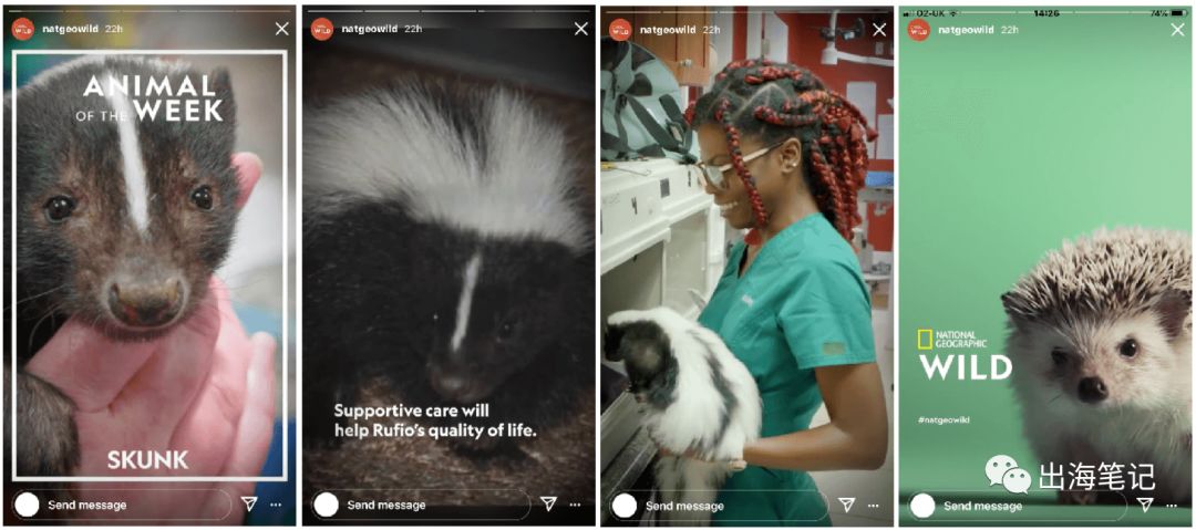 Instagram how to 系列：免费提高自然流量的基本方法丨出海笔记