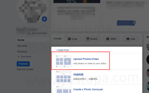 如何使用Facebook视频投票进行民意调查？