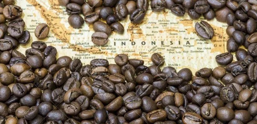 See First | Fore Coffee-印尼新零售的拿来主义