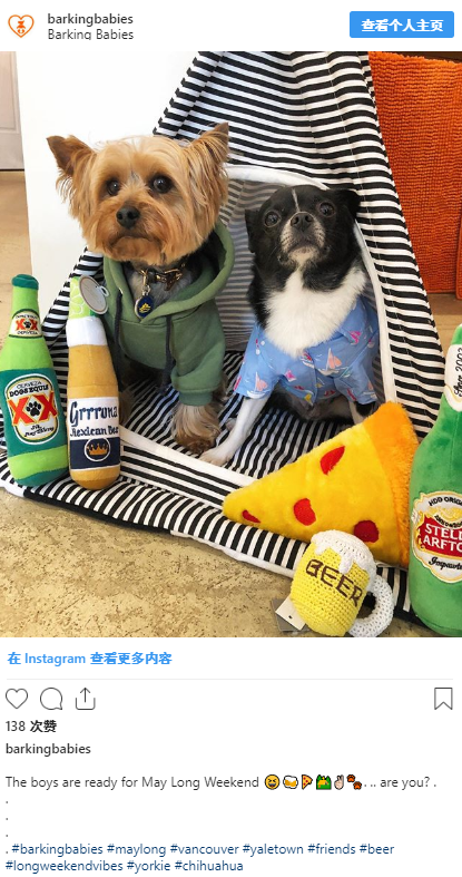 宠物用品选品和运营全攻略