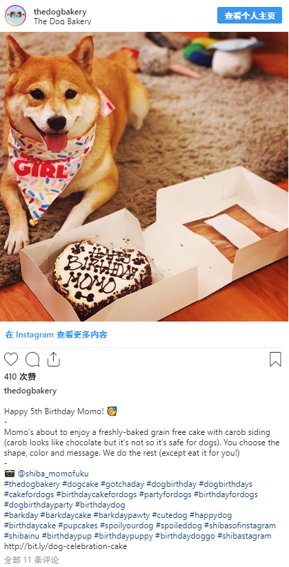 宠物用品选品和运营全攻略