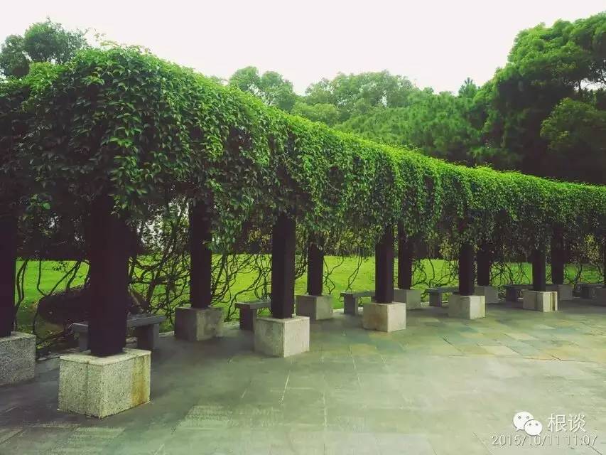 你是我流浪过的每一个地方