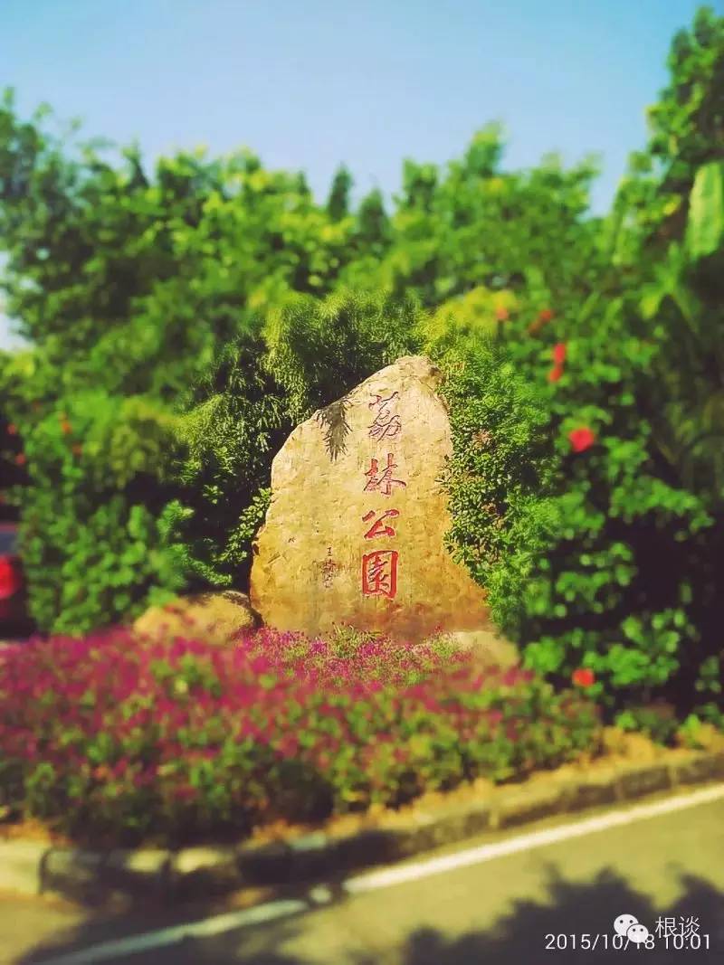 你是我流浪过的每一个地方