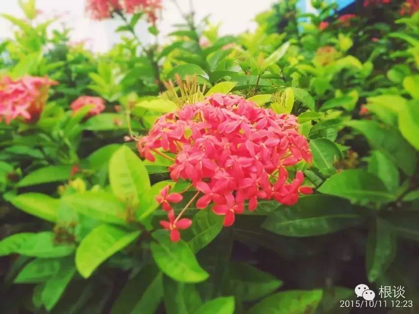 你是我流浪过的每一个地方