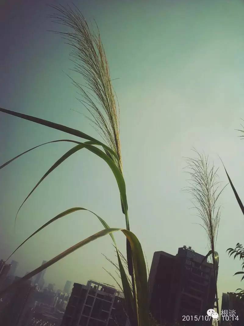 你是我流浪过的每一个地方