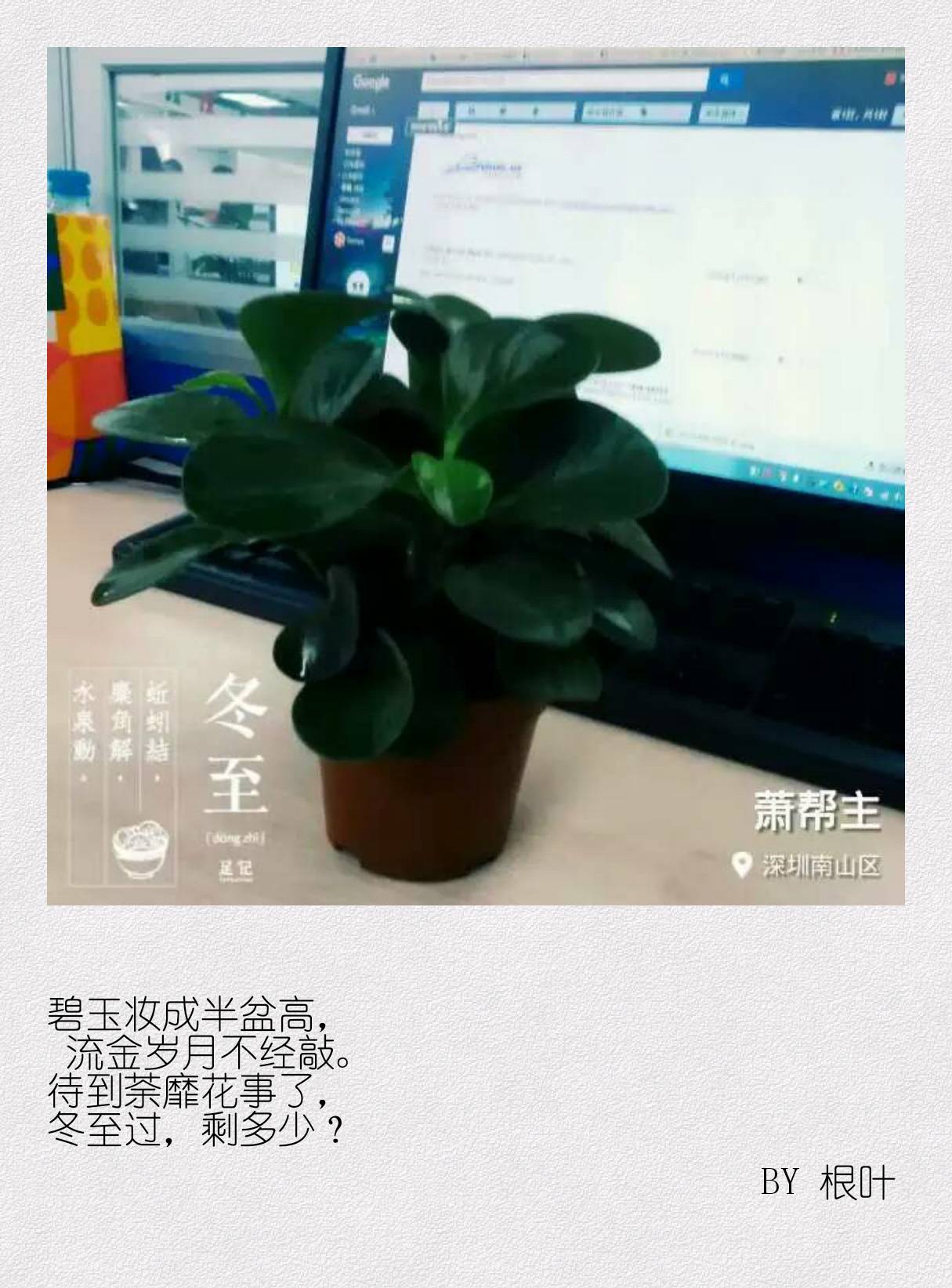 有些话，只是不想明说（第二辑）