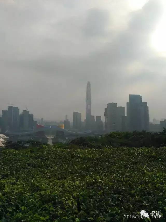 你是我流浪过的每一个地方