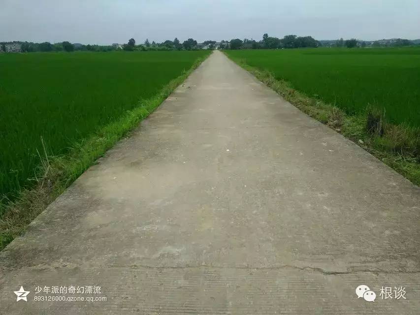 你是我流浪过的每一个地方