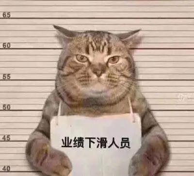英国数字税要卖家背锅？这个国家的VAT还甩不掉？
