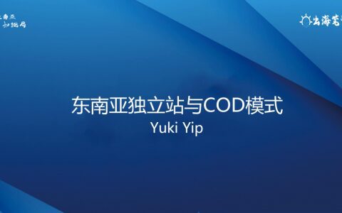 东南亚独立站与COD模式丨操盘手面对面第19期精华