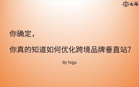 如何优化跨境品牌垂直站提高转化率丨操盘手面对面25期精华
