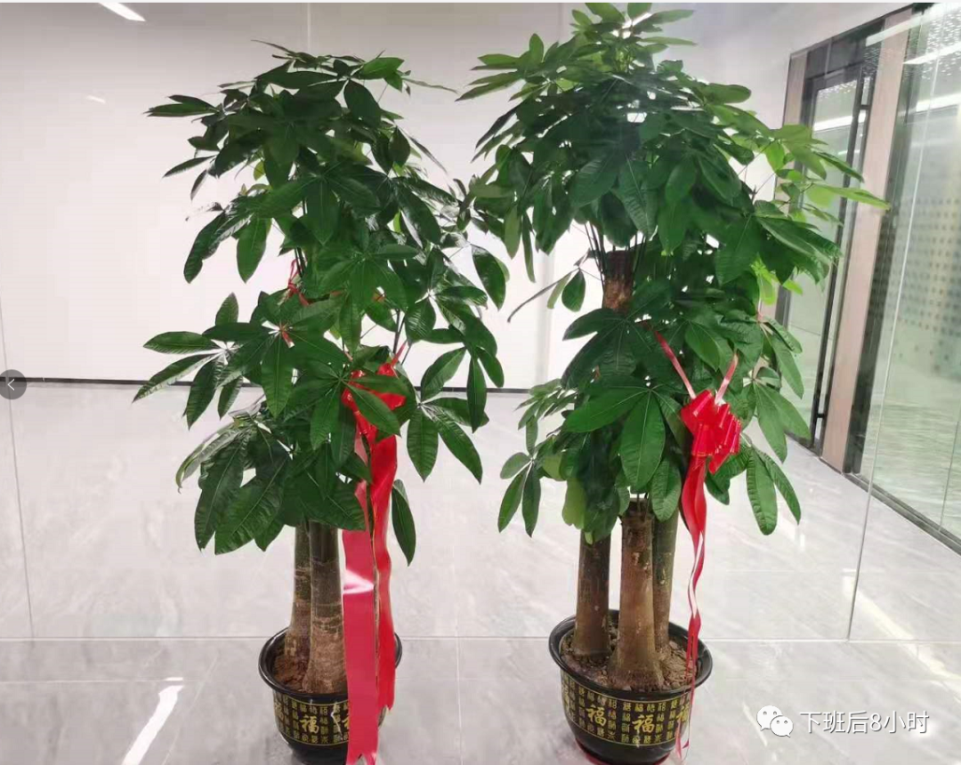 似水流年，有你的故事温暖整个春秋