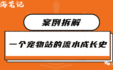 一个宠物站的细水长流史