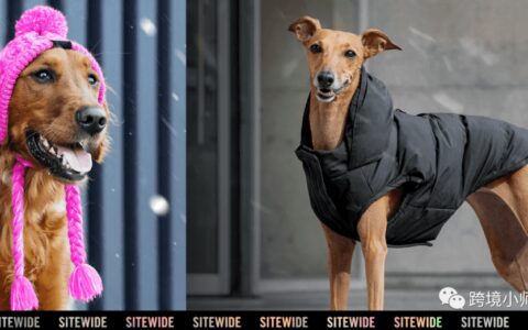 凭什么它是逆势增长的宠物服饰站