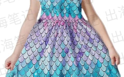 独立站新手选品入门(一万字干货)丨出海笔记精编版2023-11