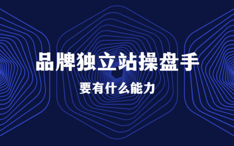 如何辨别一个品牌独立站操盘手的能力