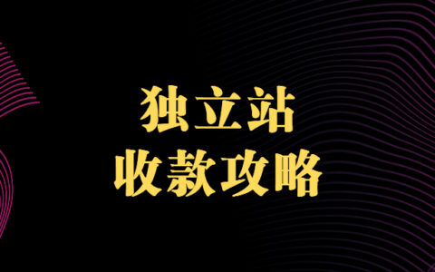 终于可以讲清楚独立站收款攻略2024